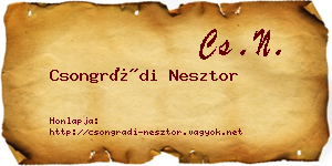 Csongrádi Nesztor névjegykártya